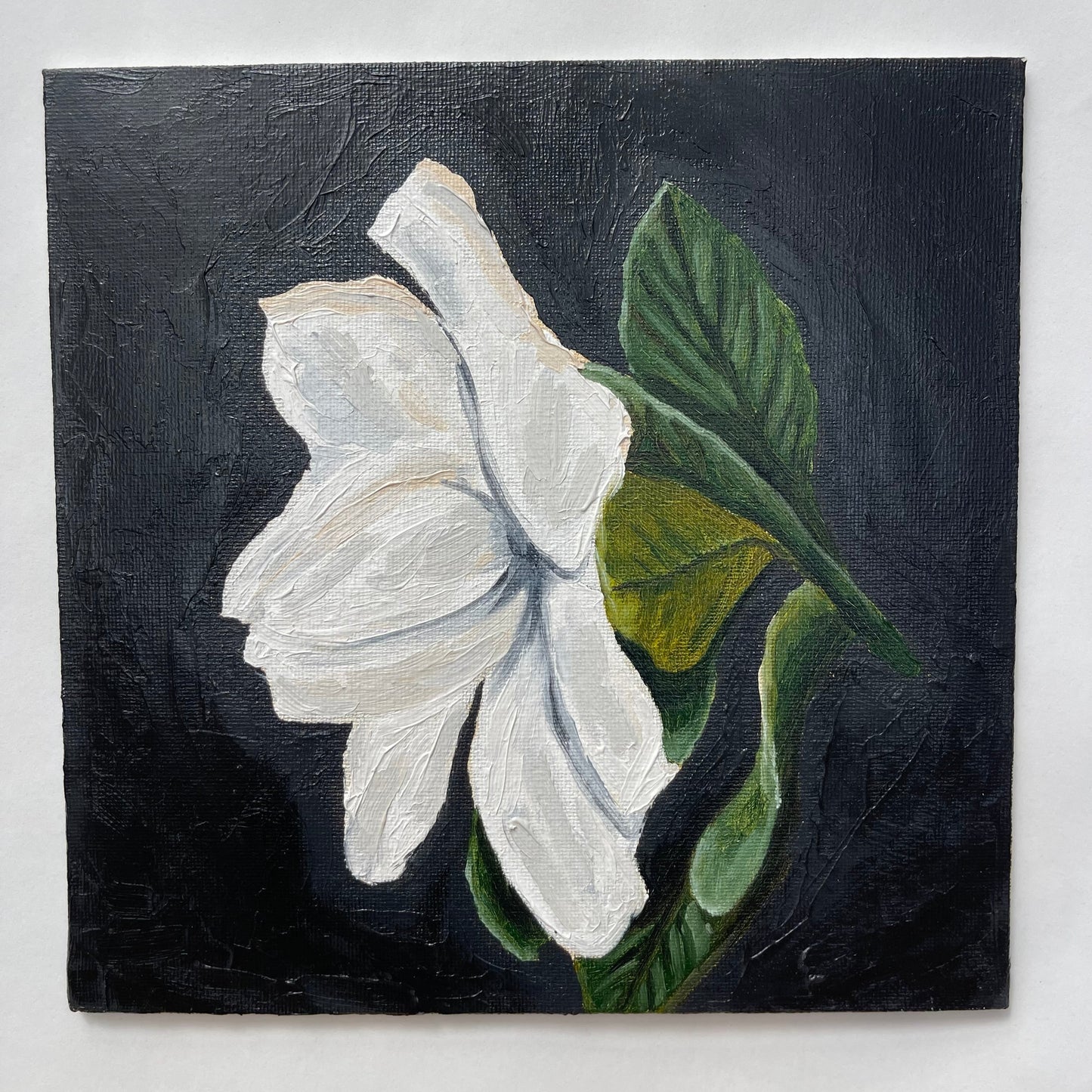 Gardenia
