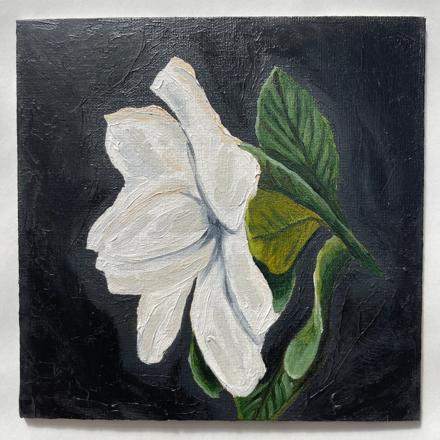 Gardenia