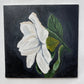 Gardenia