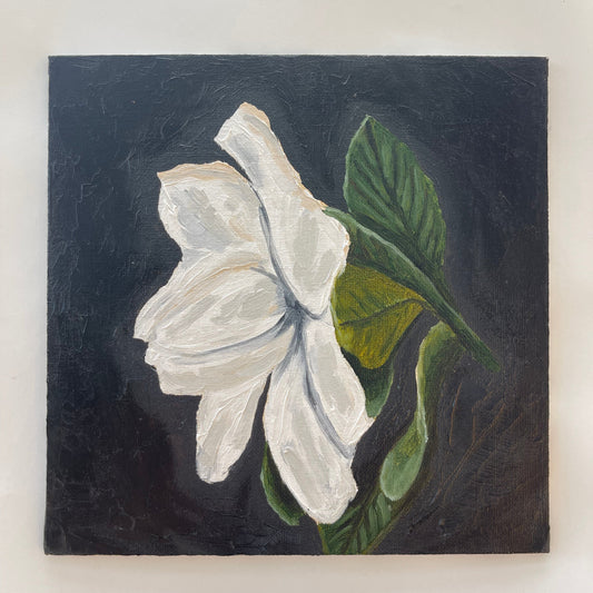 Gardenia