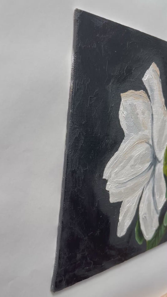 Gardenia